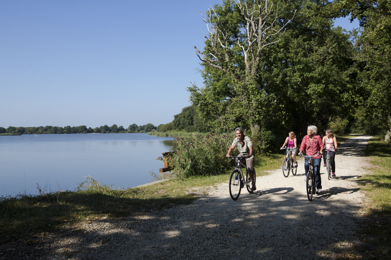 Itinéraire vélo n°5 - Grande boucle des étangs de la Brenne  France Centre-Val de Loire Indre Mézières-en-Brenne 36290