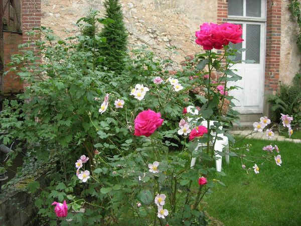 Les Figuiers, Aubigny-sur-Nère - photo 2