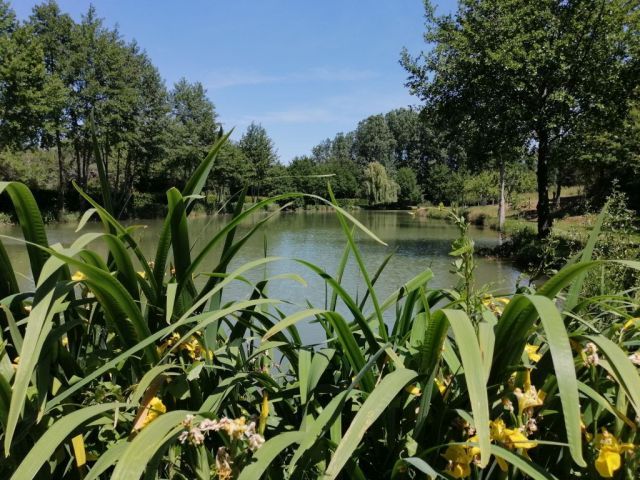 La Grange, Morogues - photo 17