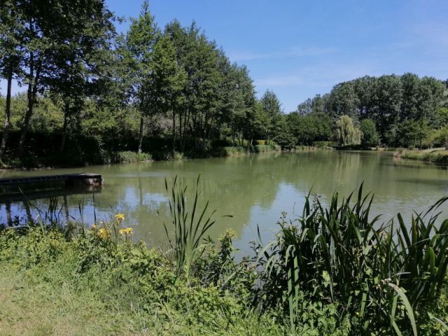 La Grange, Morogues - photo 18