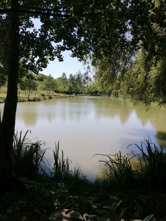 La Grange, Morogues - photo 9