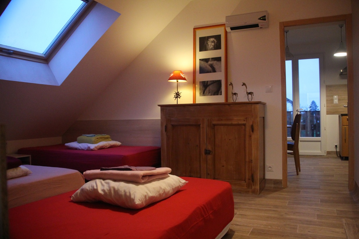 Les Anes de Medeina, Ingrannes - photo 4