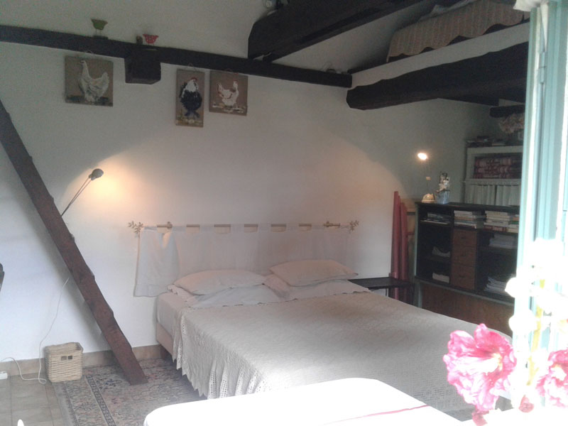 La maison des poules, Faverolles