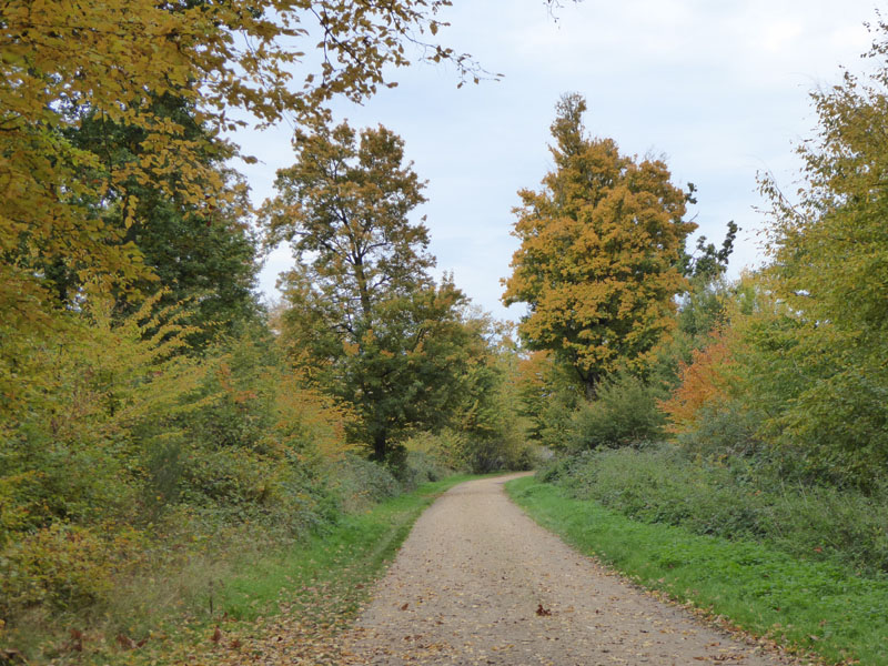 Aux petits souliers, Nogent-le-Roi - photo 5