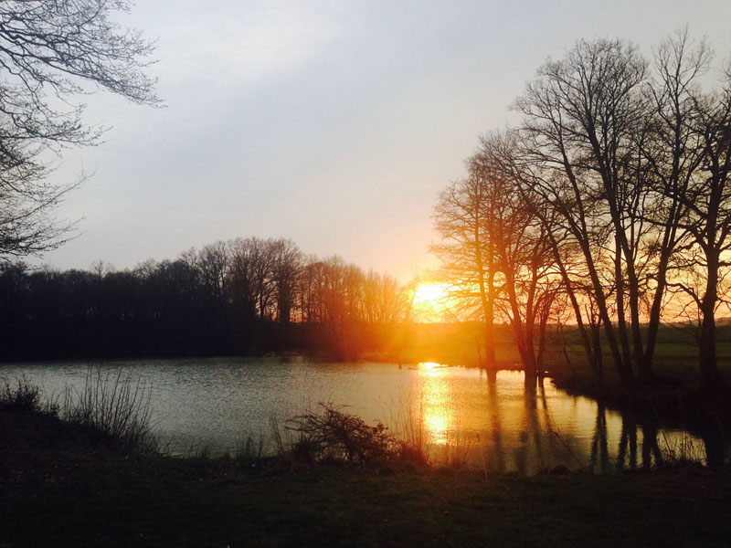 Chalet de la Bardillière, Trizay-lès-Bonneval - photo 11