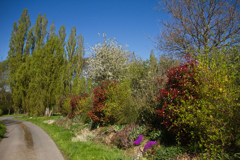 Les amours du Perche, Saint-Victor-de-Buthon - photo 15