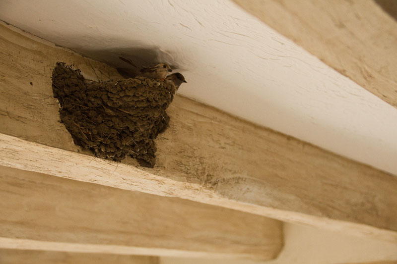 Les amours du Perche, Saint-Victor-de-Buthon