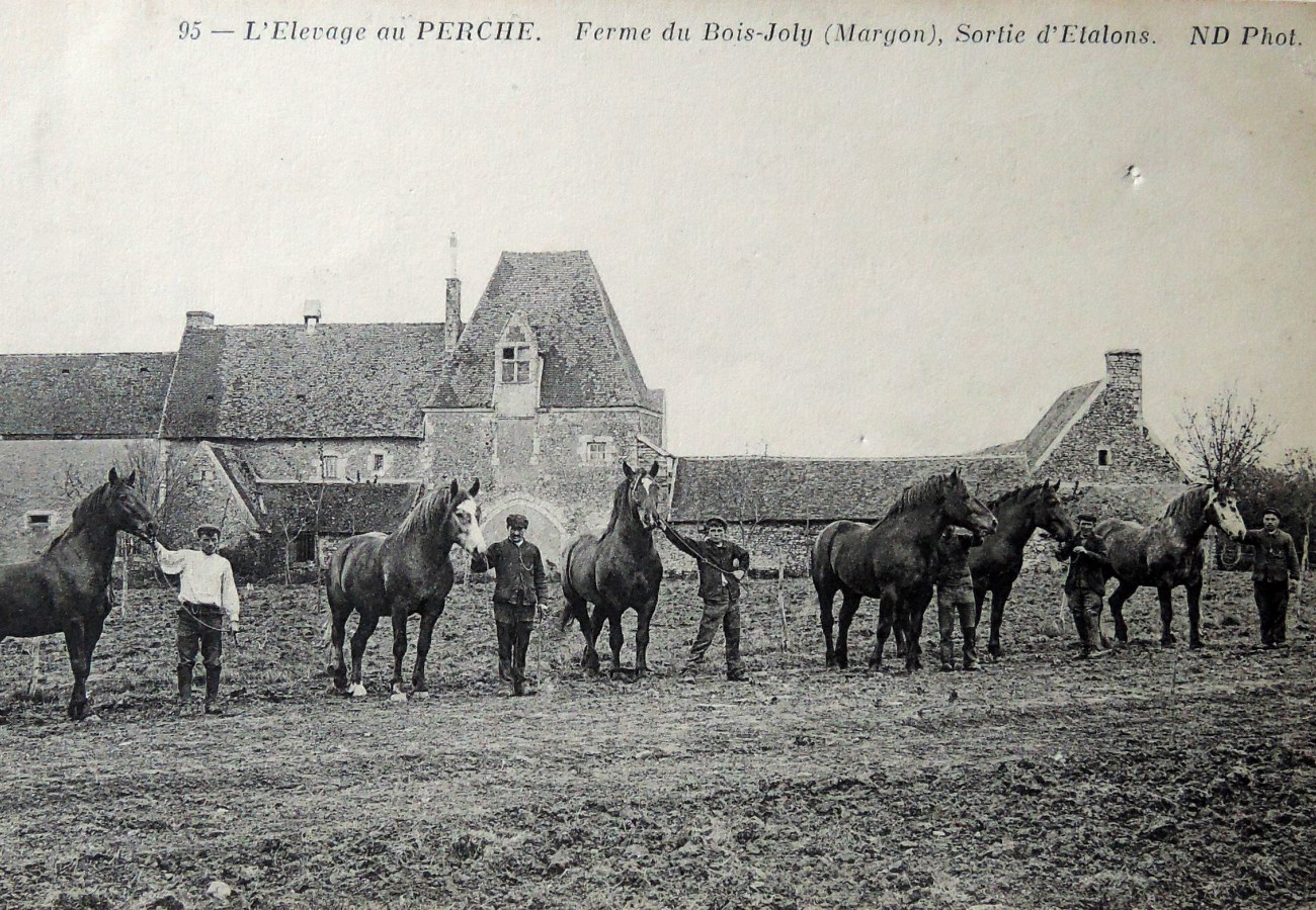 Manoir du Bois Joly - Gîte du Fournil, Arcisses - photo 20