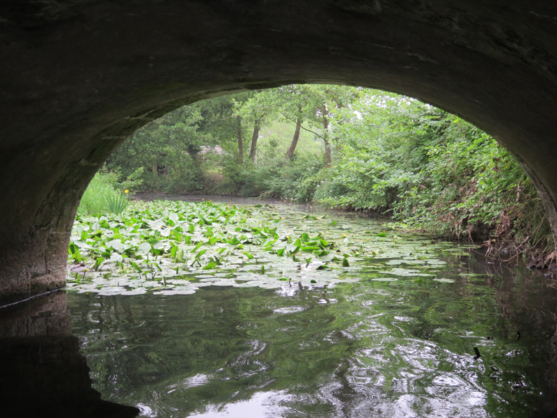 Lavoir secret, Dangeau - photo 7