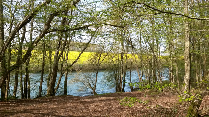 La longère aux volets rouges, Maillebois - photo 4