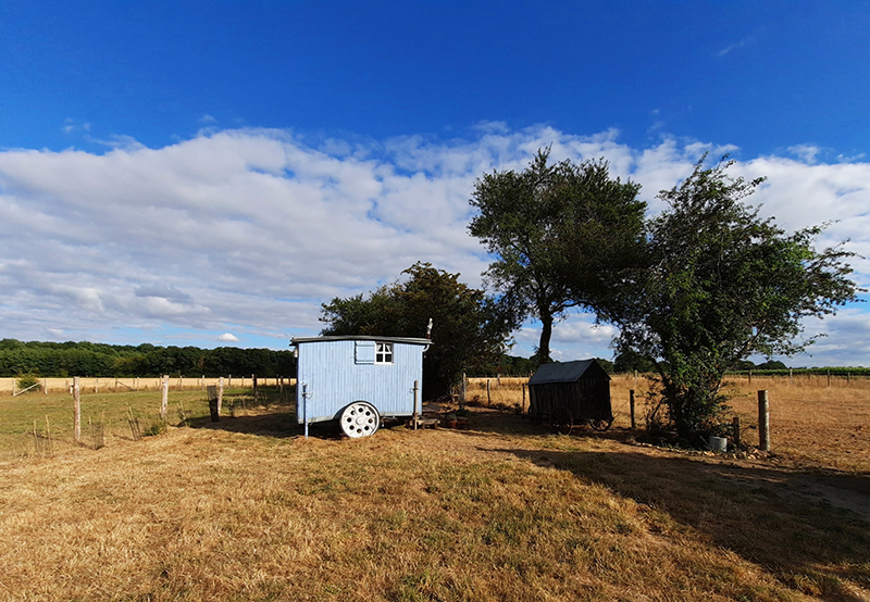 Manoir du Bois Joly - Cabanes de berger, Arcisses - photo 2