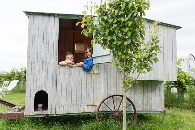 Manoir du Bois Joly - Cabanes de berger, Arcisses - photo 14