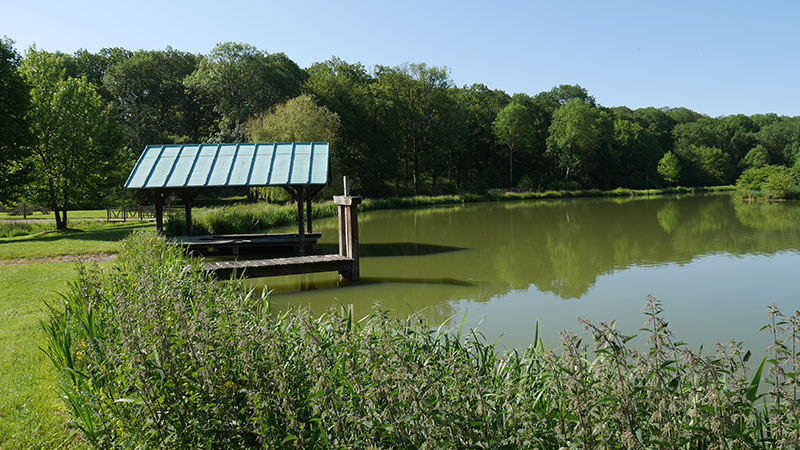 La villa du Grand Parc, Montigny-le-Chartif - photo 7