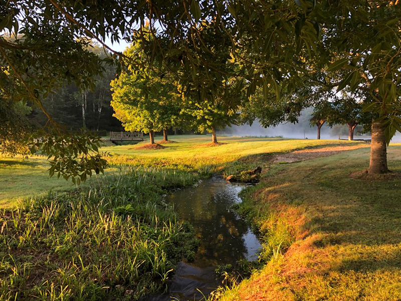 La villa du Grand Parc, Montigny-le-Chartif - photo 14