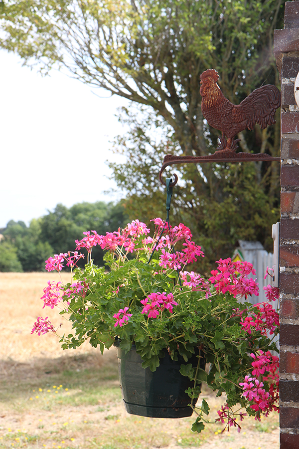 Longère du Gaspault, Vald'Yerre - photo 11