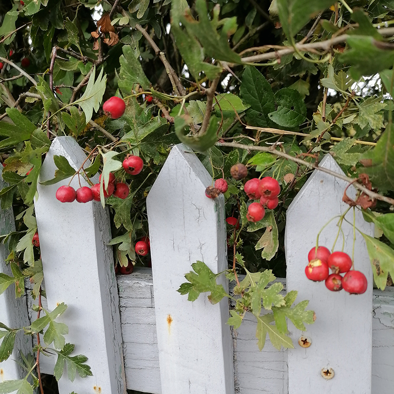 Longère du Gaspault, Vald'Yerre - photo 19