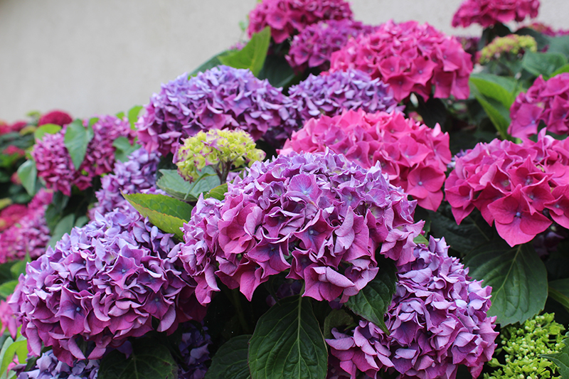 Longère du Gaspault, Vald'Yerre - photo 3