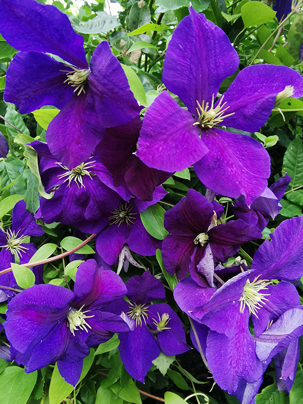 Longère du Gaspault, Vald'Yerre - photo 7