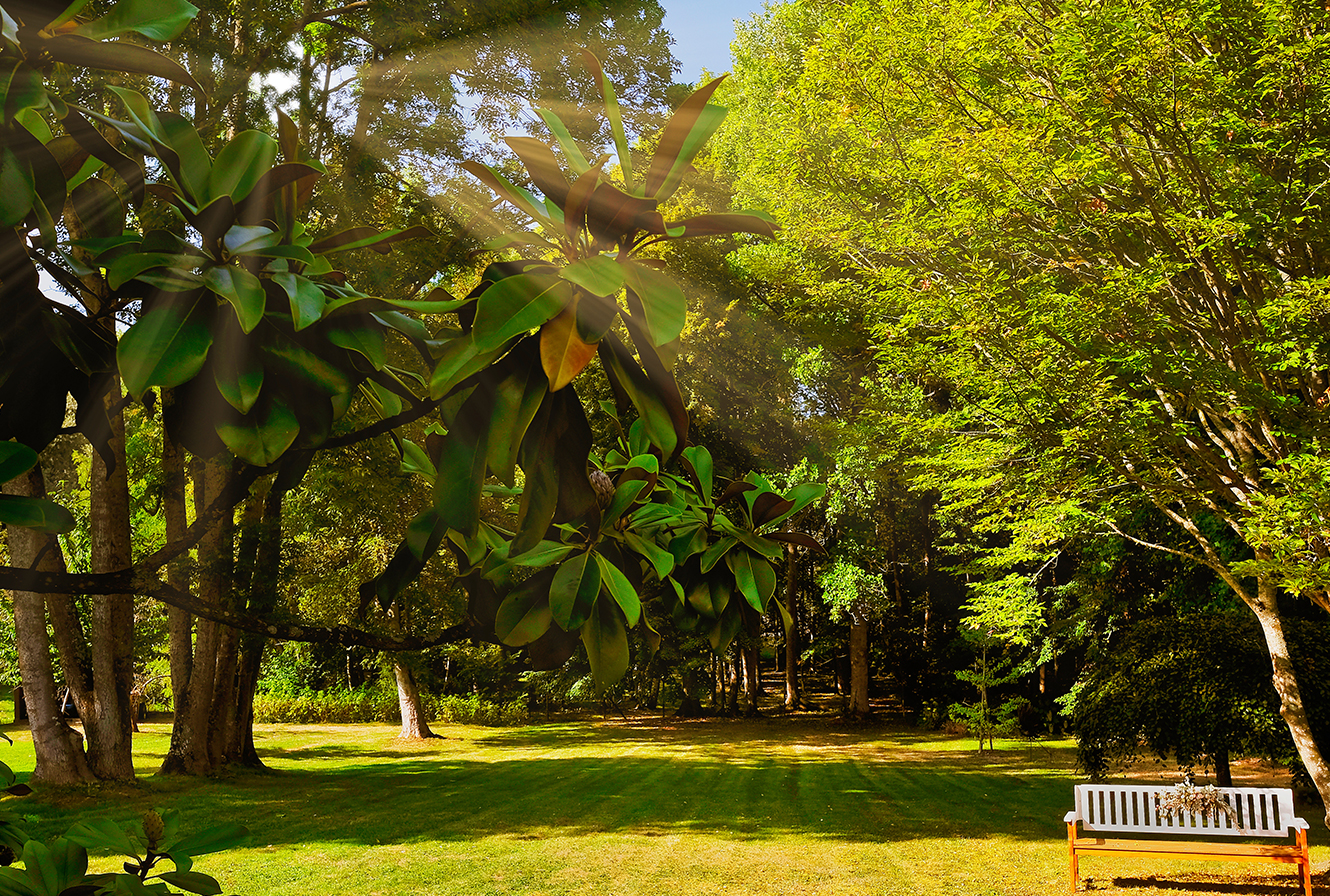 Clos Flora - Maison Glycine, Auneau-Bleury-Saint-Symphorien