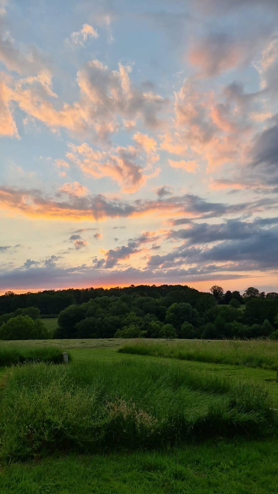 Gîte des Artisans, Saint-Victor-de-Buthon - photo 6