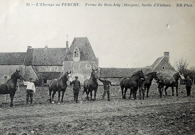 Manoir du Bois Joly - Roulotte vintage  France Centre-Val de Loire Eure-et-Loir Arcisses 28400