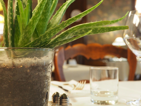 Hôtel Le Laurier, Saint-Satur - photo 6