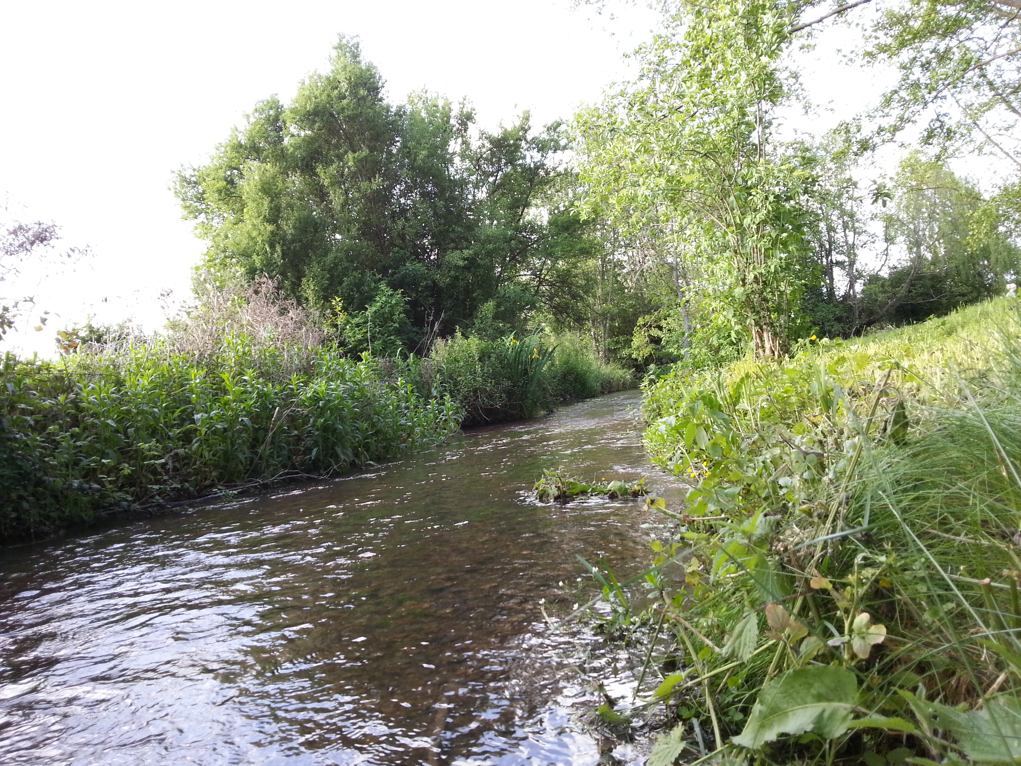 Camping des étangs de Marsalin