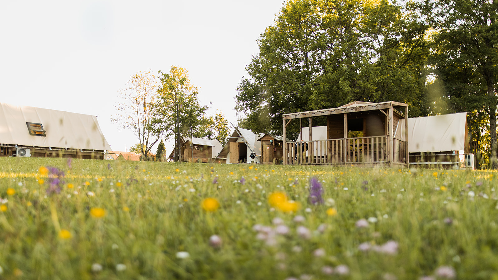 Bouton d'or - Les cabanes du Tertre, Cour-Cheverny - photo 4