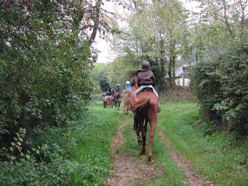 Haras des Courtillets