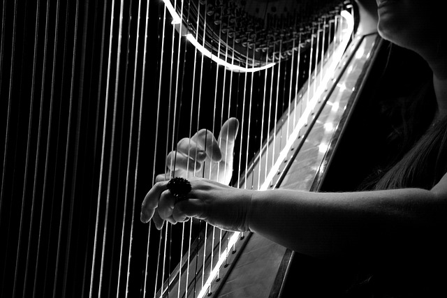 Concert : "Blonde ou Rousse"