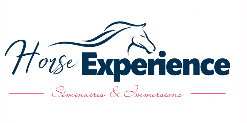 Horse Experience — photo 2