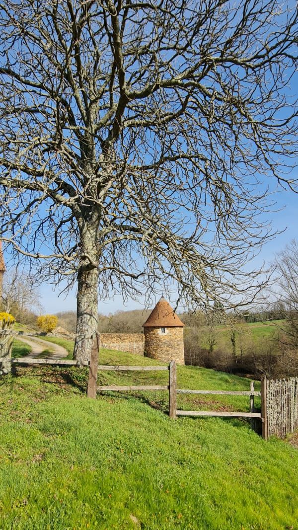 Base VTT Sud Berry - Côté nature - photo 5