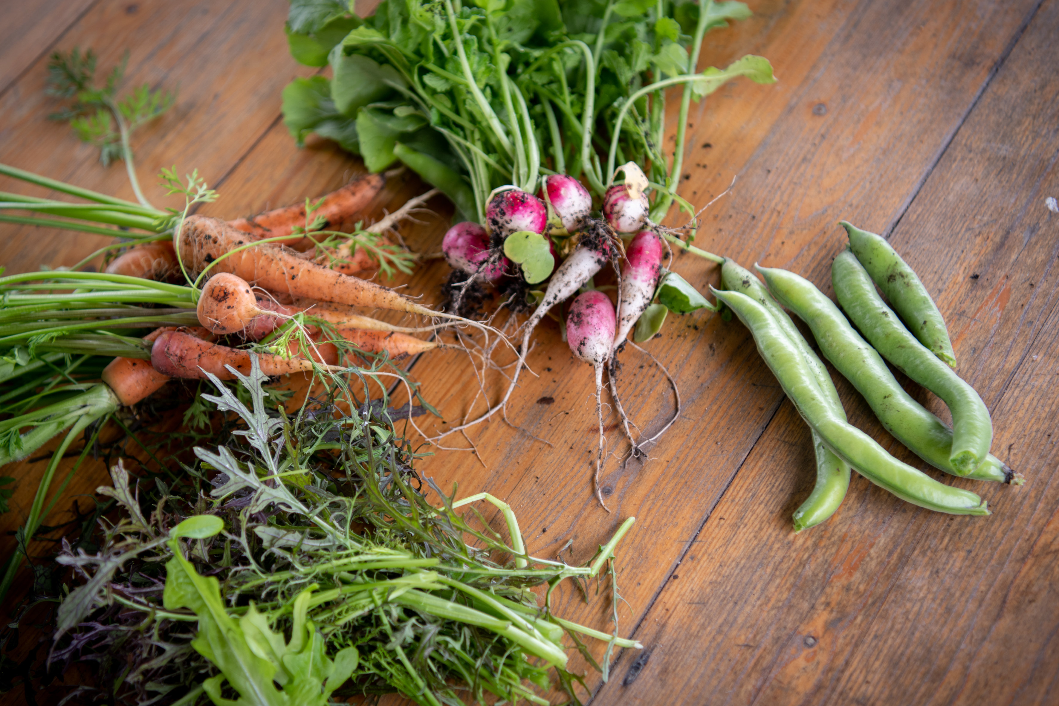 Les 3 Chemins, Saint-Aignan - photo 11