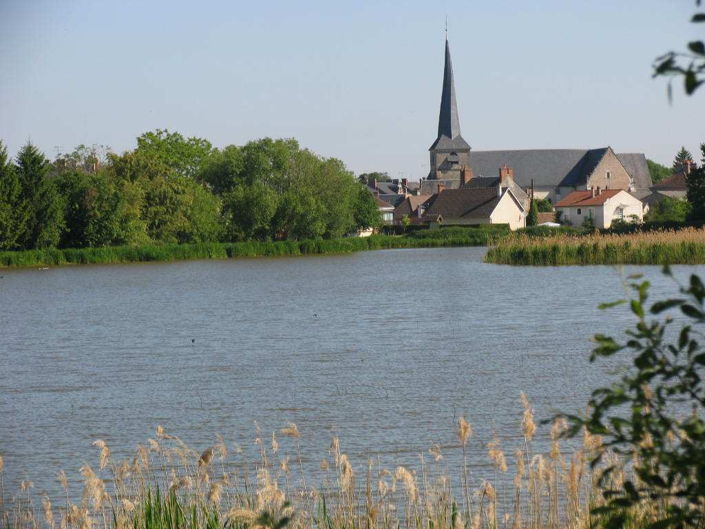 Maison des Etangs, Saint-Viâtre - photo 4