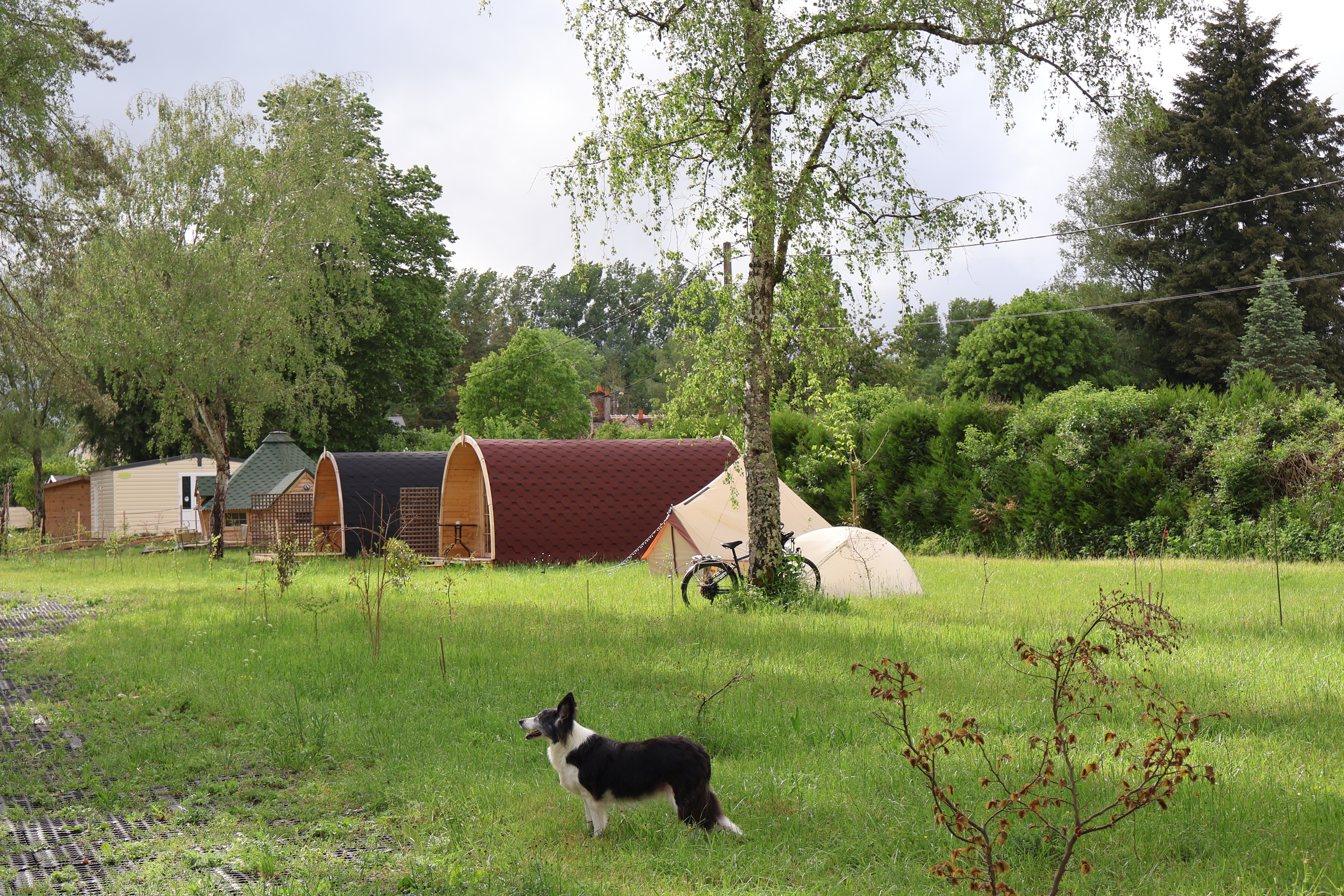 Camping Le Bois des Elfes, Fay-aux-Loges - photo 24