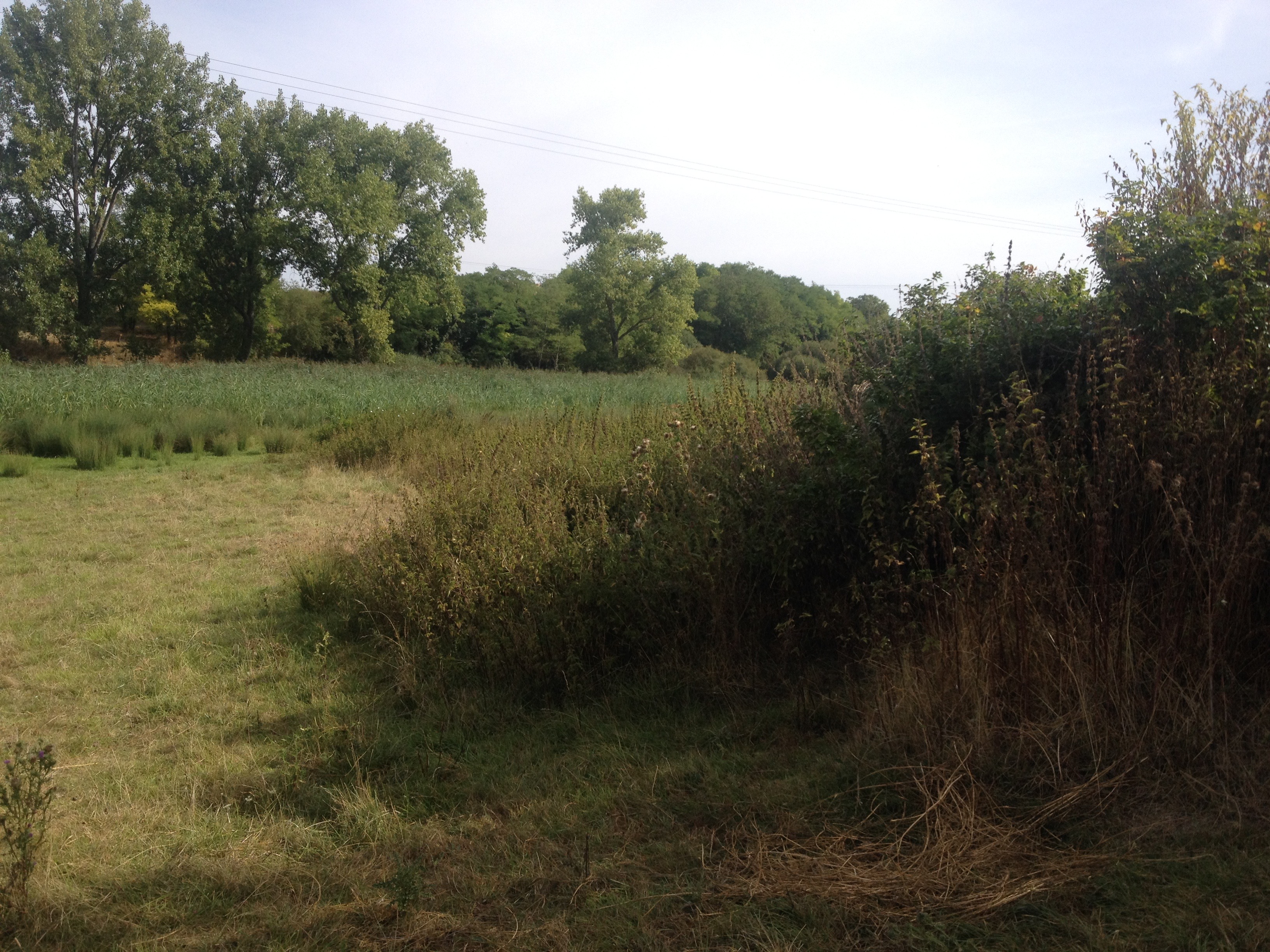 Le gîte des vouzoirs, Maves - photo 3