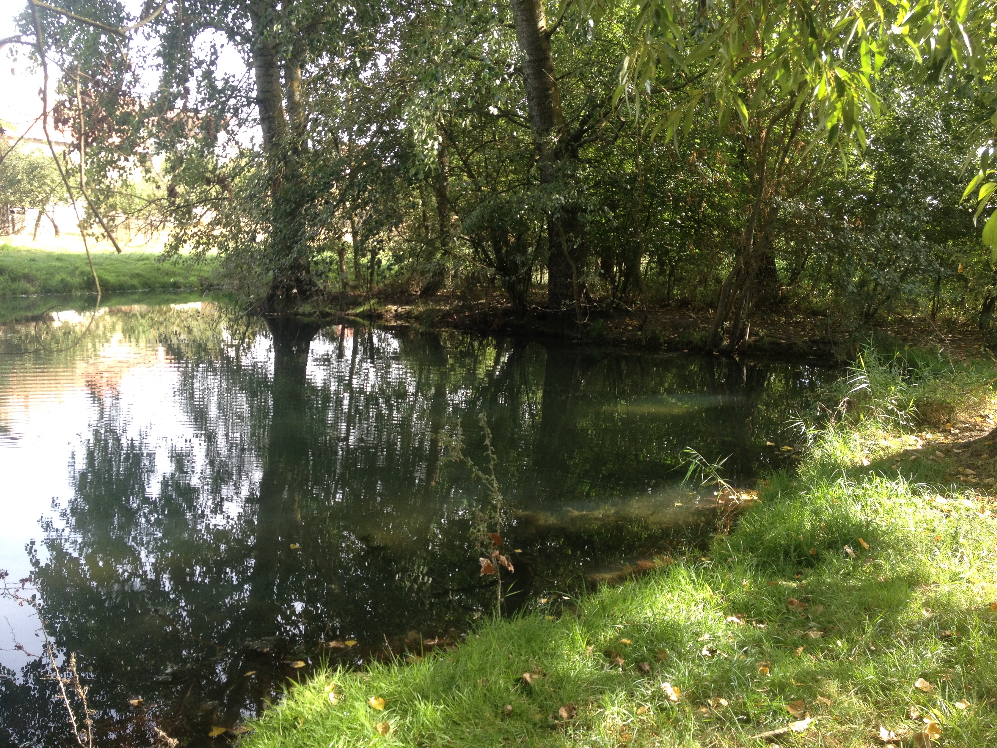 Le gîte des vouzoirs, Maves - photo 6