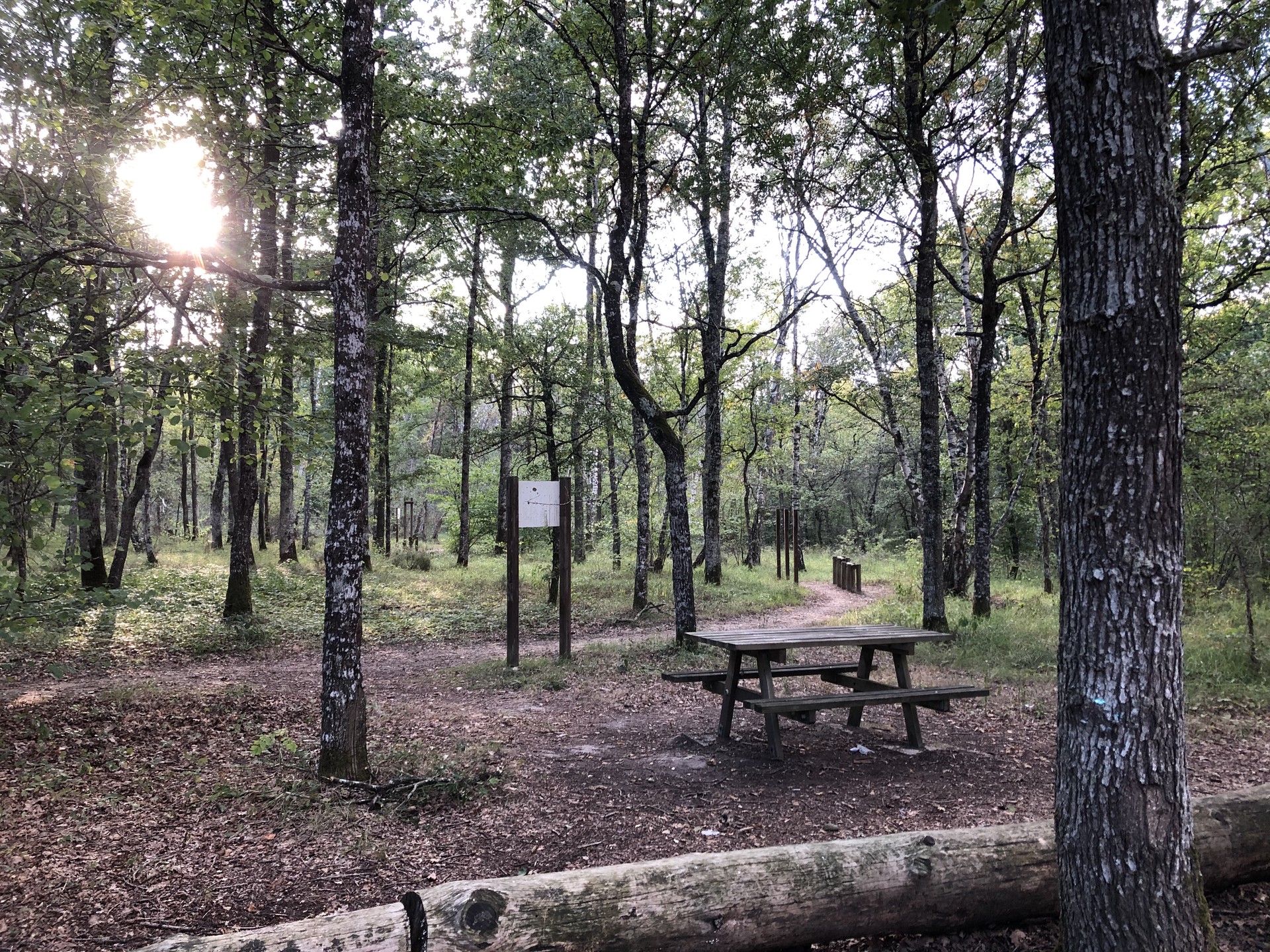 Aire de pique-nique à Huisseau-sur-Mauves