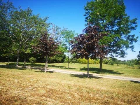 Domaine des aides, Châteaumeillant - photo 8