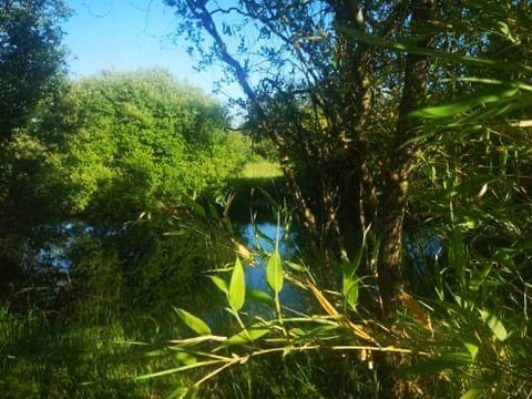 Domaine des aides, Châteaumeillant - photo 11