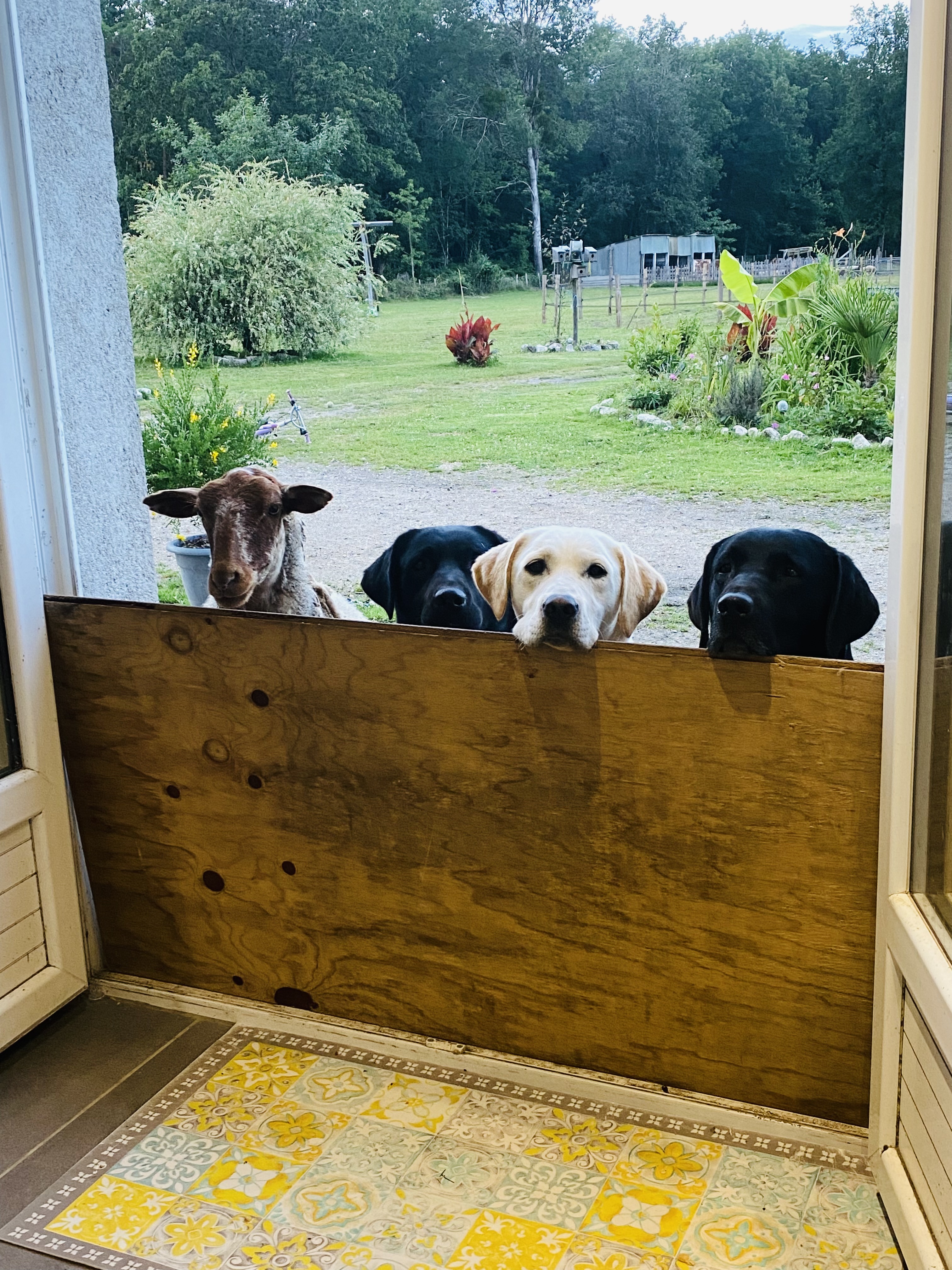 Le Perchoir, Châtenoy - photo 3