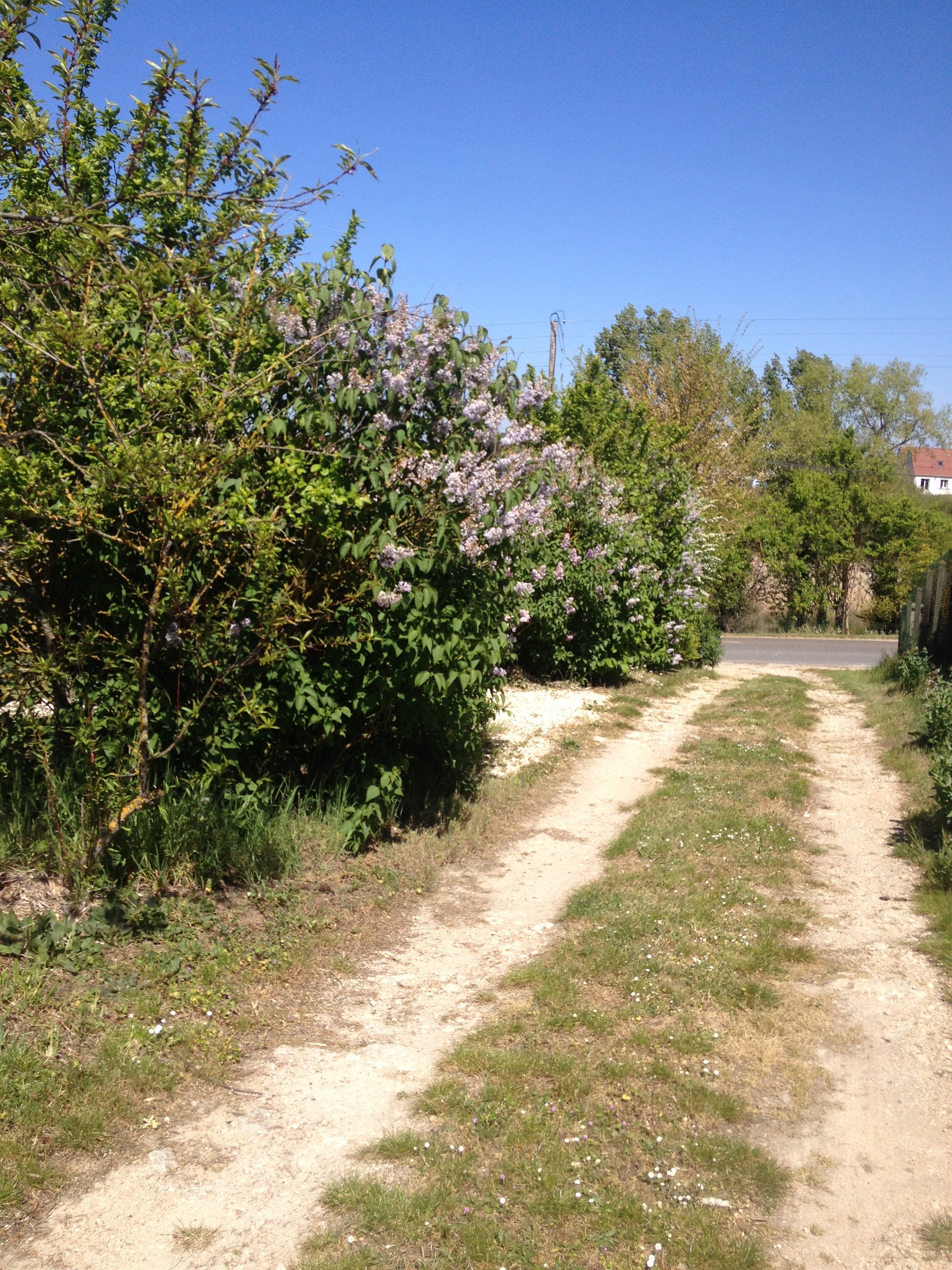 Le gîte des vouzoirs, Maves - photo 10
