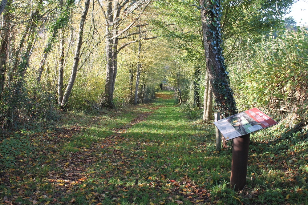 Maison botanique, Boursay - photo 5