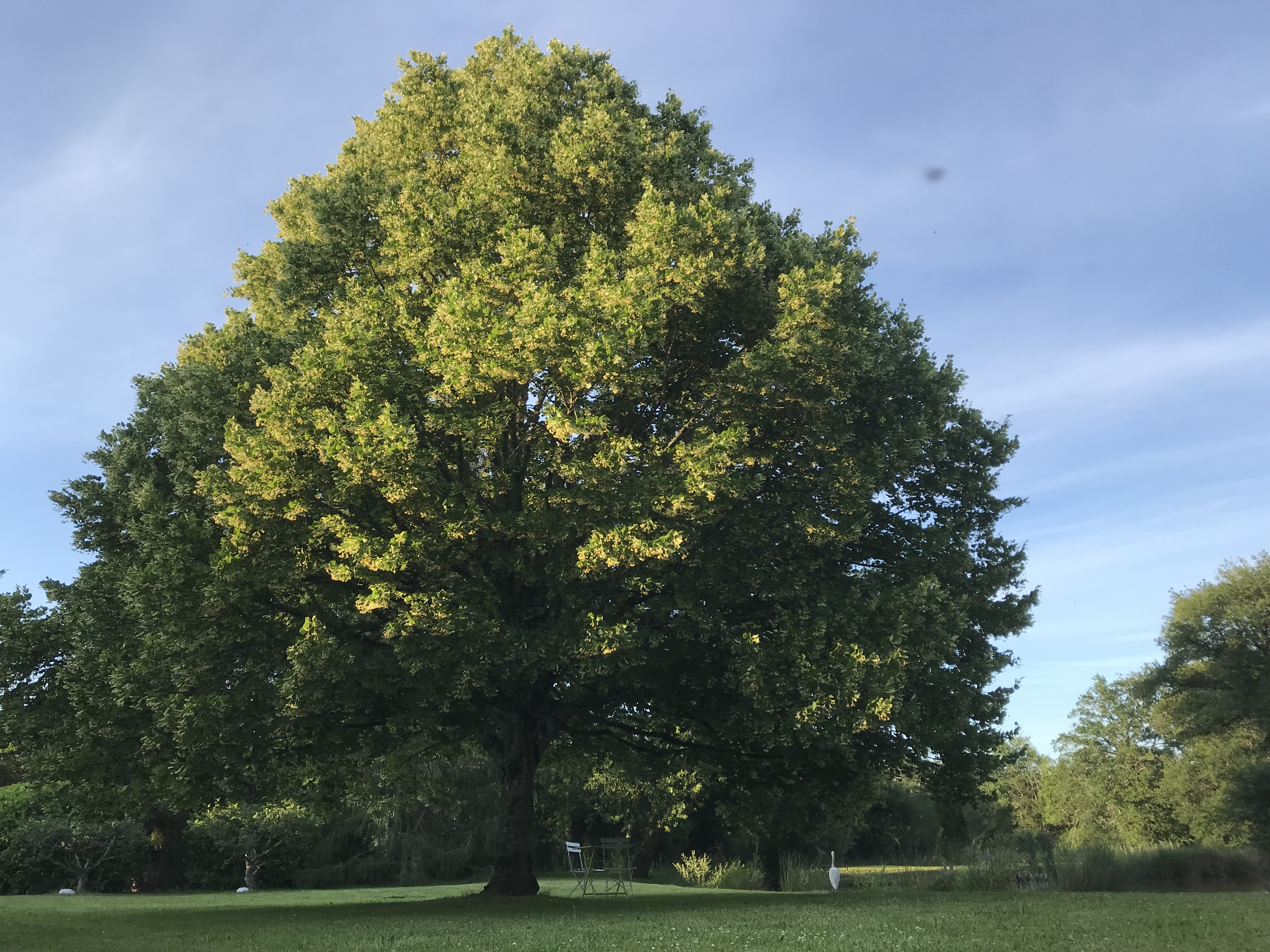 Gîte Sologne à la ferme boisquillon, Marcilly-en-Gault