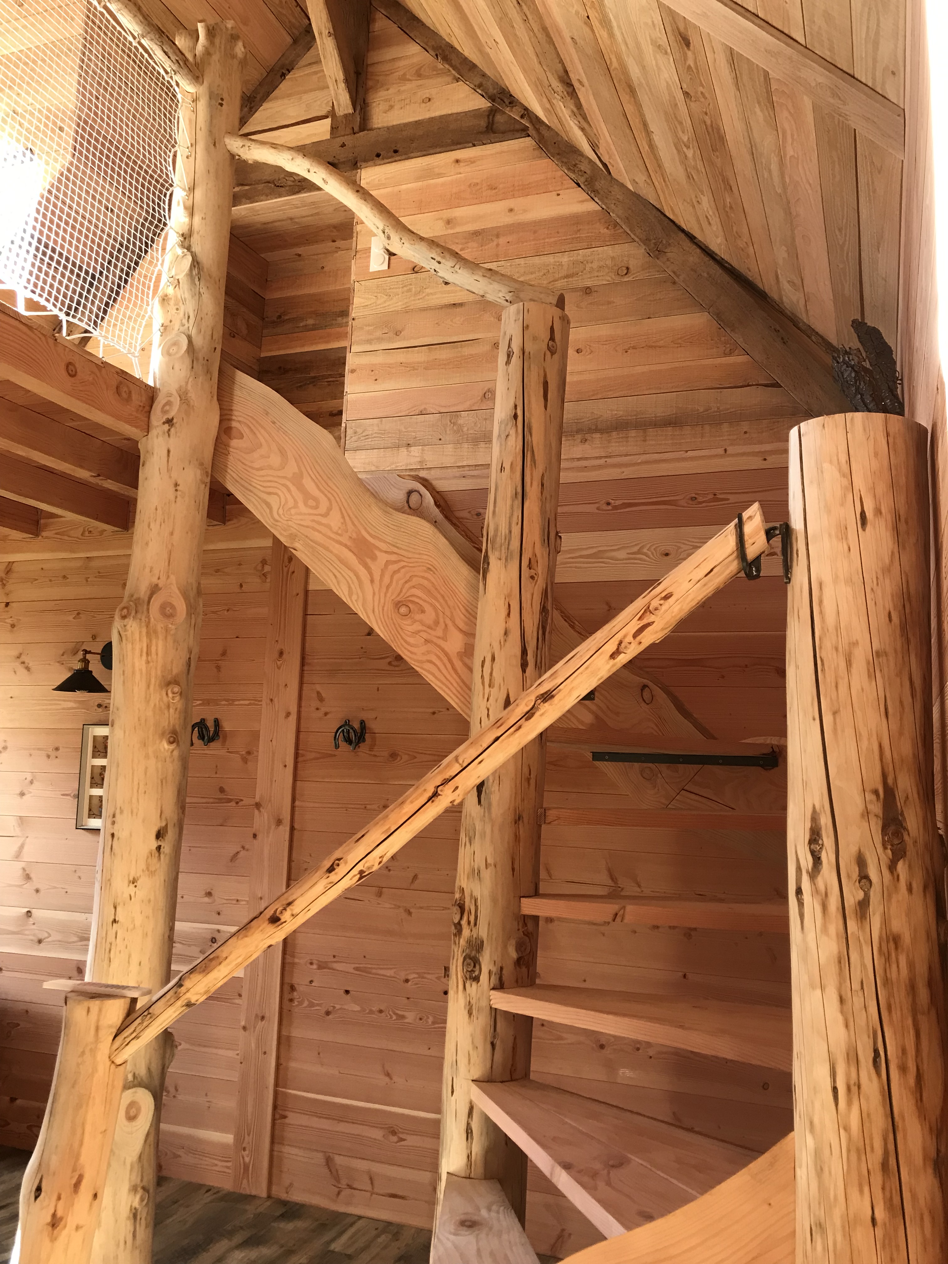 Gîte Douglas à la ferme boisquillon, Marcilly-en-Gault - photo 3