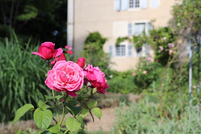 Maison de George Sand et parc, Nohant-Vic - photo 2