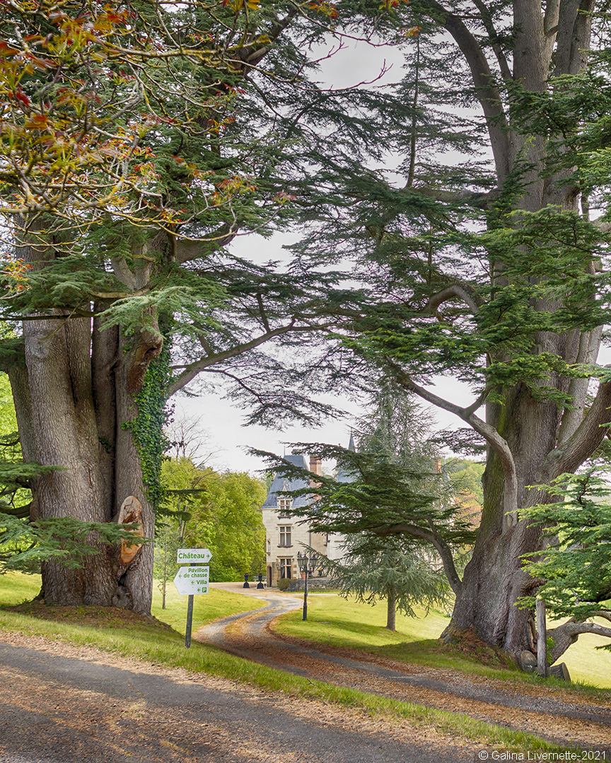 Château de Brou, Noyant-de-Touraine - photo 11