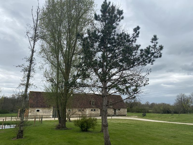 Gite de Claise, Saint-Michel-en-Brenne - photo 2