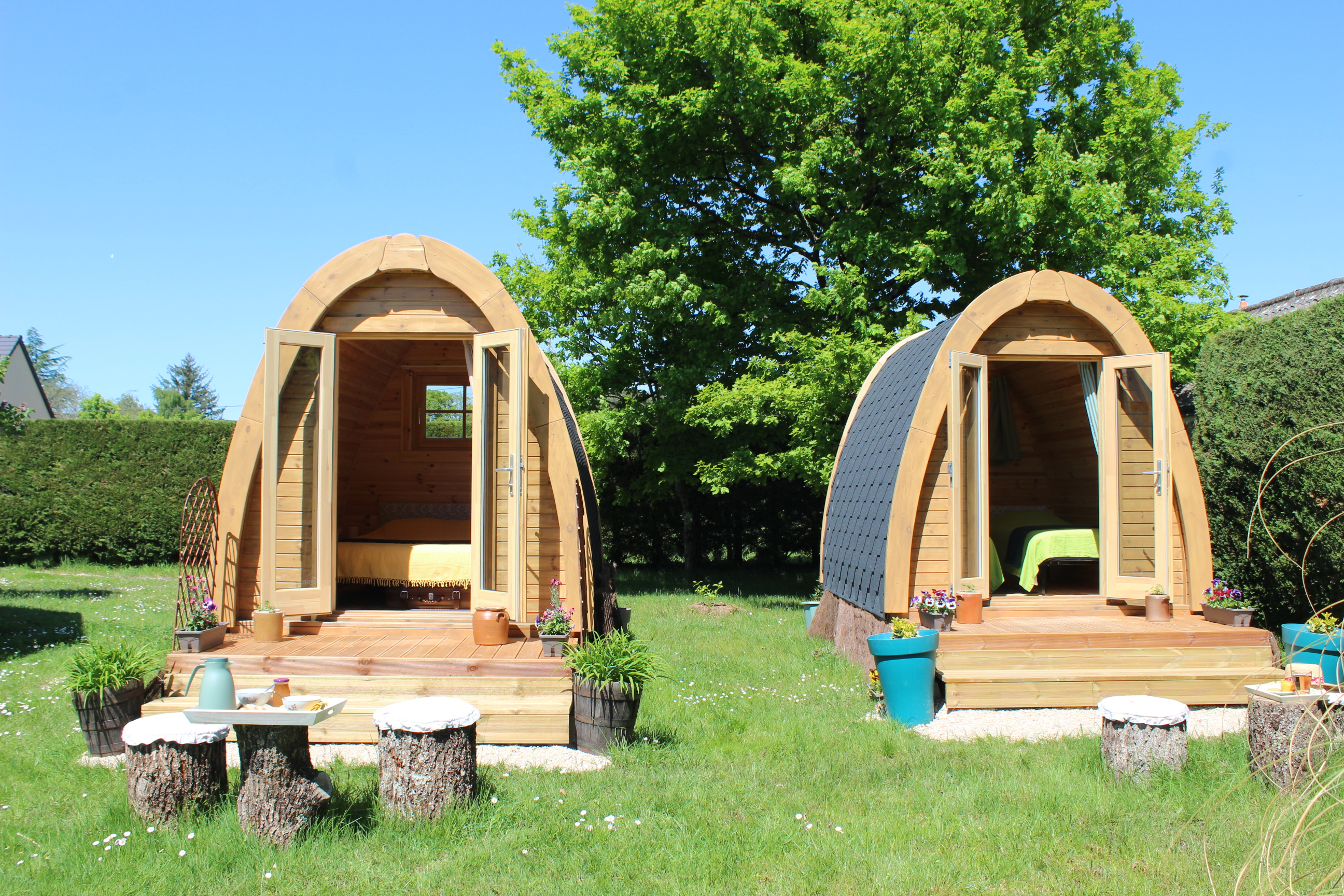 Auprès de mon arbre - photo 5