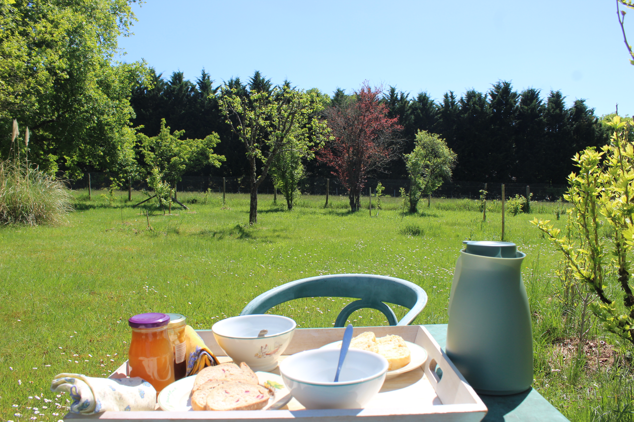 Auprès de mon arbre - photo 3